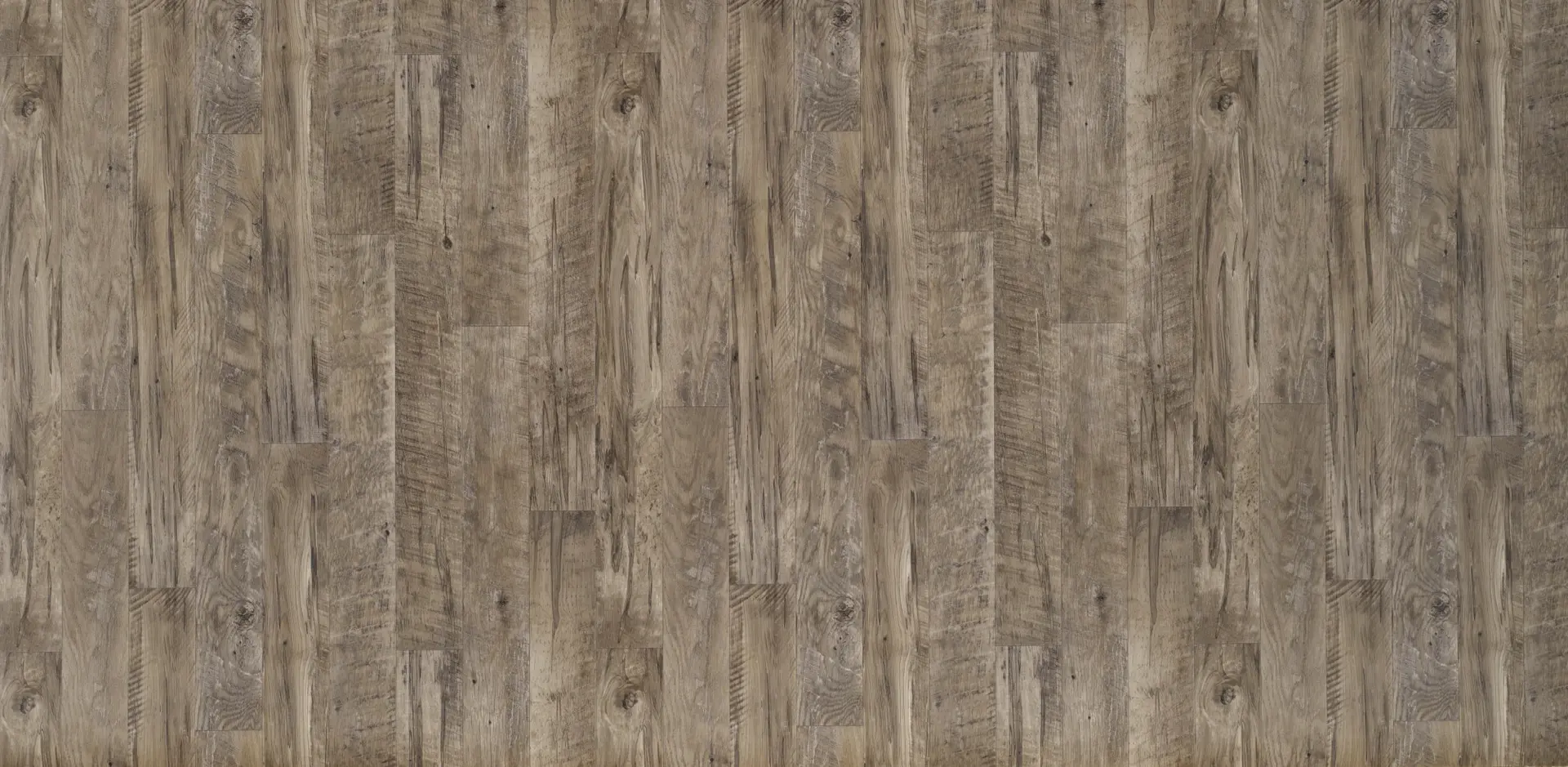 Black Mountain Oak Coal