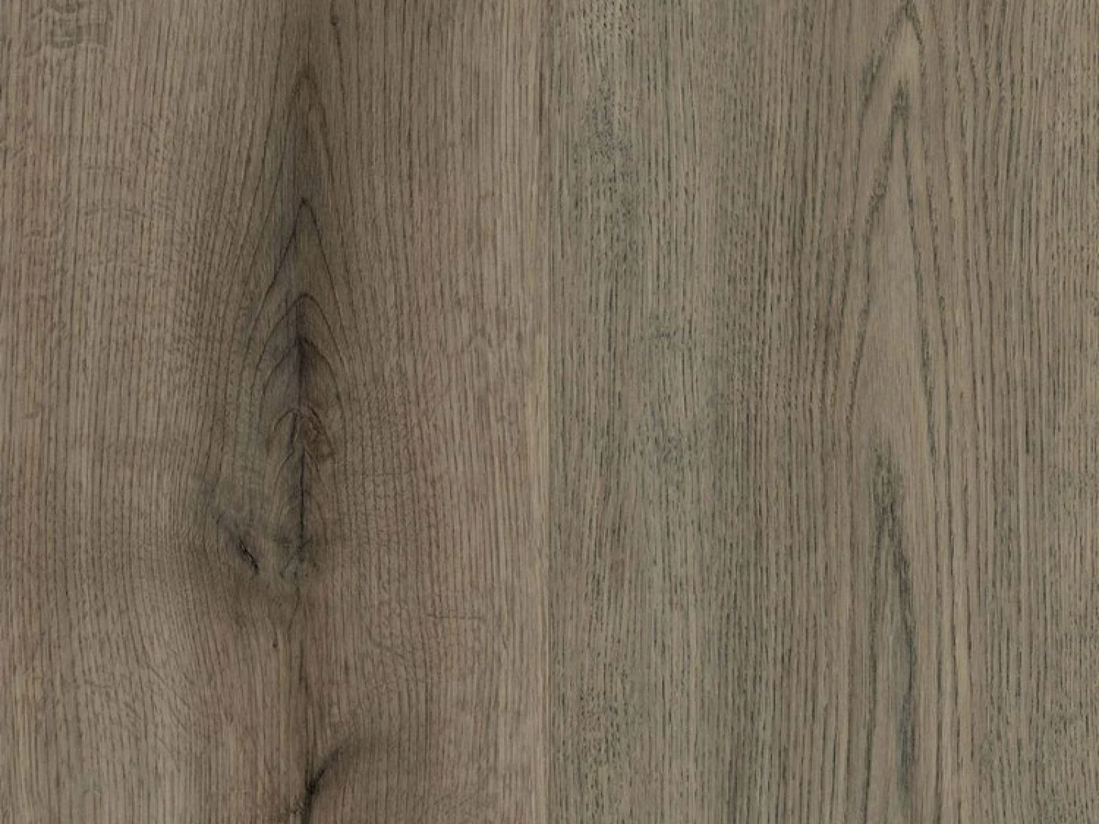 Denali CANTON Smoked Grey