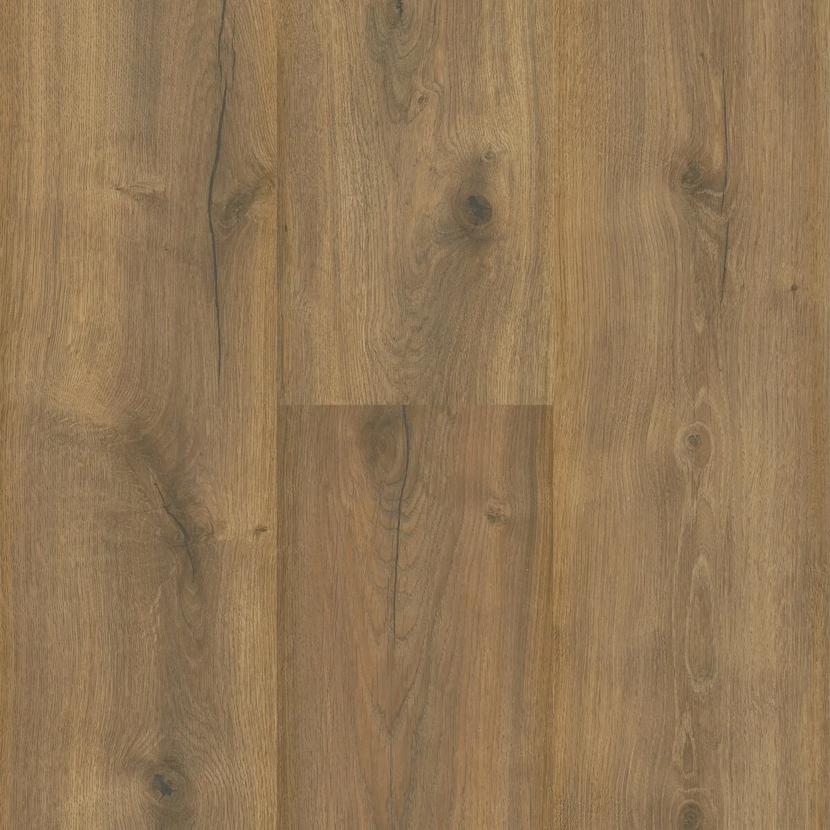 Sequoia