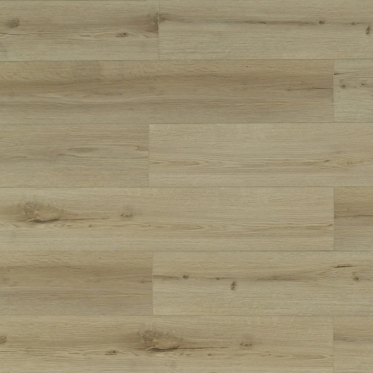 TFL627 | Honey Birch